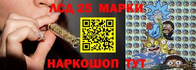 шишки Обнинск