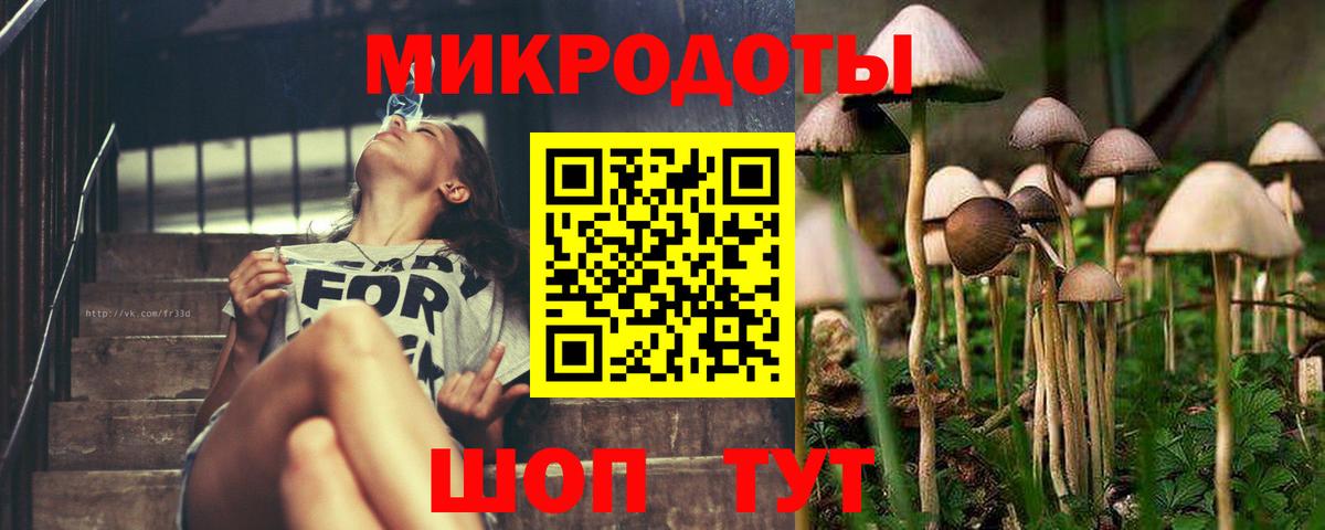 Галлюциногенные грибы мицелий  наркошоп  Сертолово  Вход с VPN 
