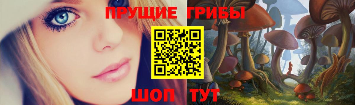 Псилоцибиновые грибы мицелий Сертолово
